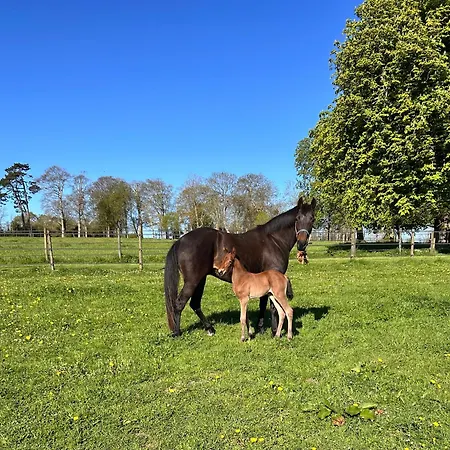 Vaugoubert Bed & Breakfast