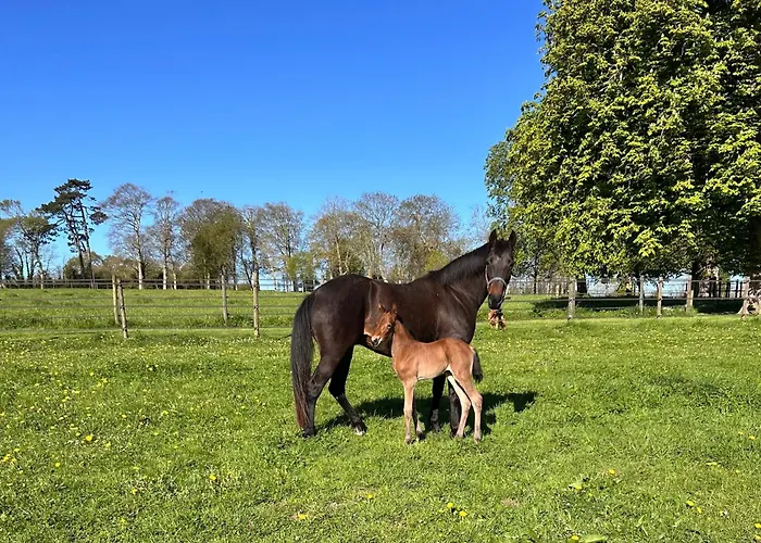 Vaugoubert Nocleg ze śniadaniem