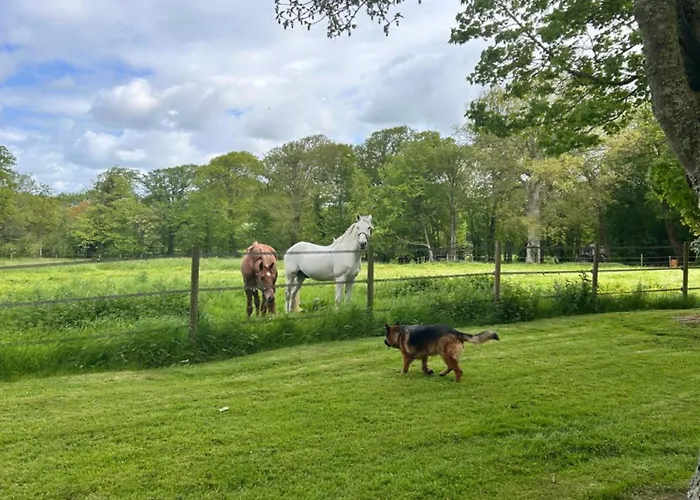 Vaugoubert Saint-Germain-de-Varreville